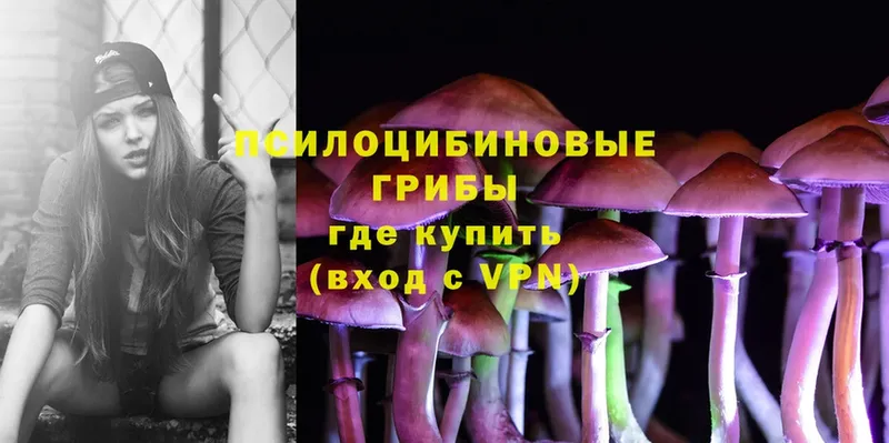 Псилоцибиновые грибы Psilocybine cubensis  blacksprut зеркало  Гороховец  сколько стоит 